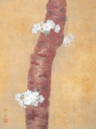 徳岡 神泉 「桜」 12号